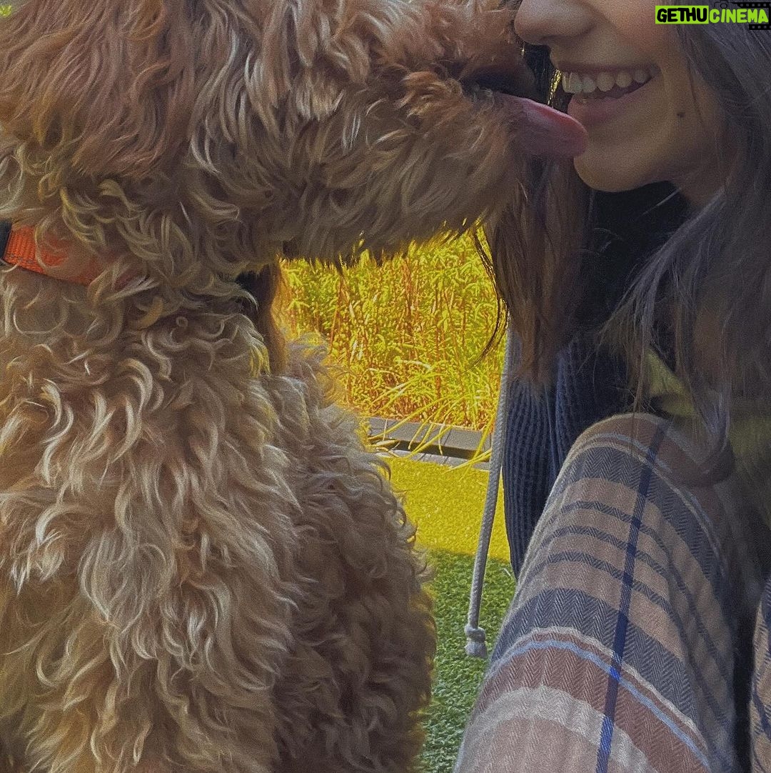 Rachel Zegler Instagram - happy 1st birthday to my sweet pup, lenny. you came to me in a time where i desperately needed love without conditions or apprehensions, and you’ve given me what i consider to be the best version of being alive. mommy and daddy love you so much. 💓♾️1️⃣ p.s.: you are officially old enough to know better now. put down the socks.