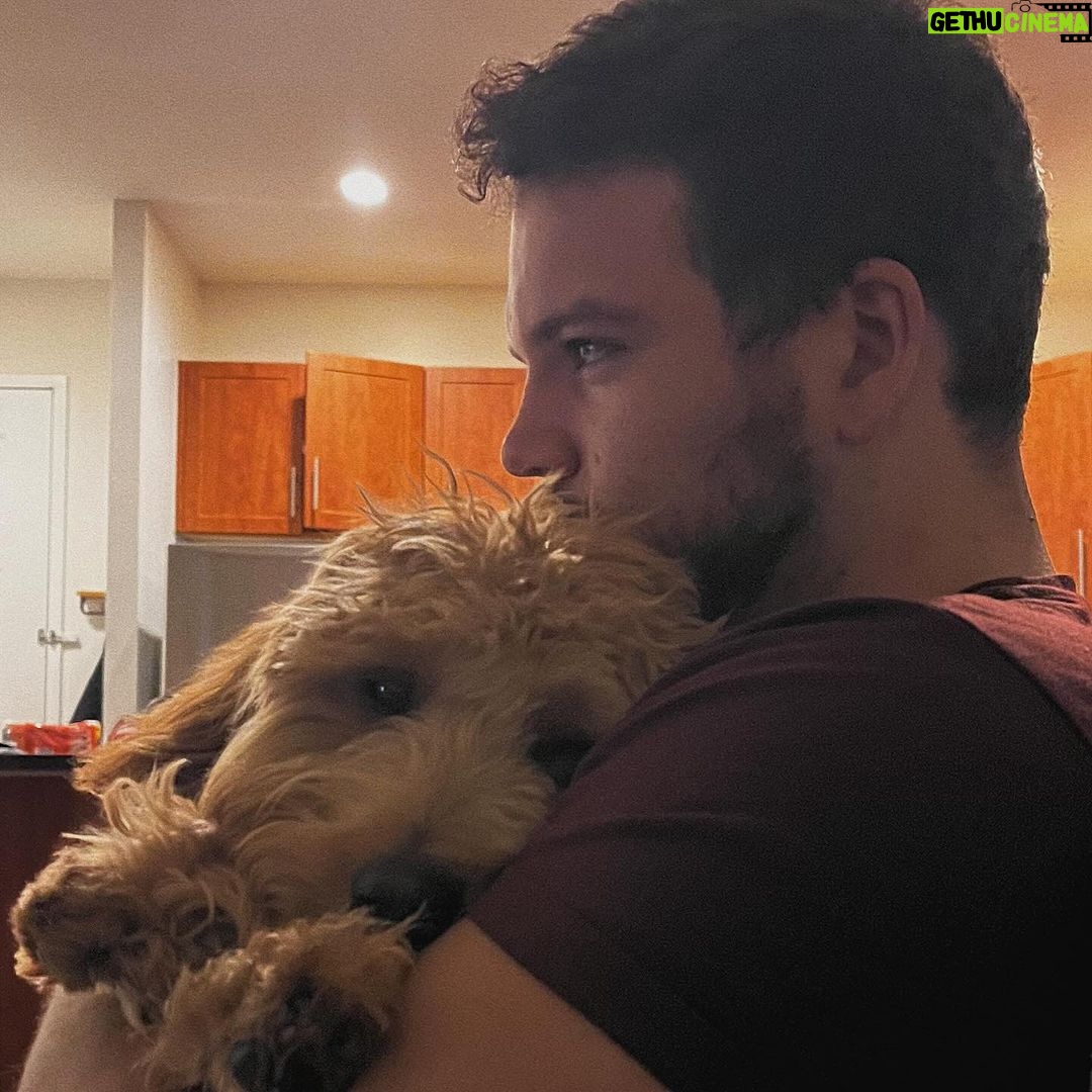 Rachel Zegler Instagram - happy 1st birthday to my sweet pup, lenny. you came to me in a time where i desperately needed love without conditions or apprehensions, and you’ve given me what i consider to be the best version of being alive. mommy and daddy love you so much. 💓♾️1️⃣ p.s.: you are officially old enough to know better now. put down the socks.