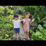 Radhika Pandit Instagram - Our little bunnies had an egg-cellent time at the easter hunt! Hope you all you a day filled with joy, love, and springtime magic! ✨🧿 Happy Easter #radhikapandit #nimmaRP