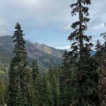 Rainn Wilson Instagram - I got to go into the woods of the great Pacific Northwest before the summer officially ended. These are a few of the things I saw. I need my batteries recharged in the Cascades every summer. Where is your soul-stirring place?