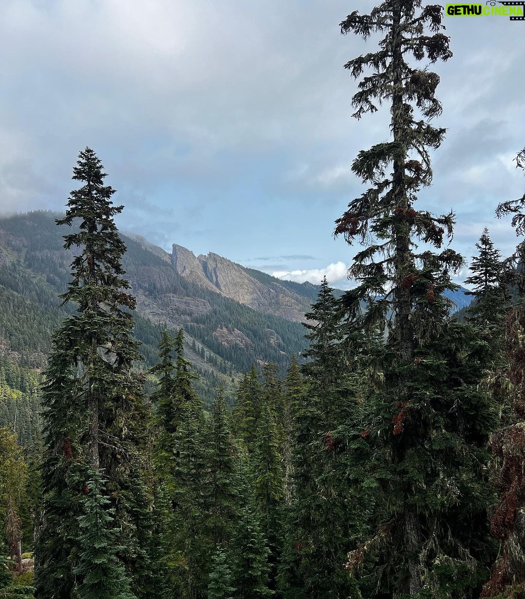 Rainn Wilson - 75.4K Likes - I got to go into the woods of the great Pacific Northwest before the summer officially ended. These are a few of the things I saw. I need my batteries recharged in the Cascades every summer. Where is your soul-stirring place?