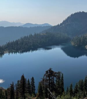Rainn Wilson Instagram - I got to go into the woods of the great Pacific Northwest before the summer officially ended. These are a few of the things I saw. I need my batteries recharged in the Cascades every summer. Where is your soul-stirring place?