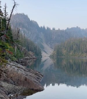 Rainn Wilson Instagram - I got to go into the woods of the great Pacific Northwest before the summer officially ended. These are a few of the things I saw. I need my batteries recharged in the Cascades every summer. Where is your soul-stirring place?