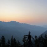 Rainn Wilson Instagram - I got to go into the woods of the great Pacific Northwest before the summer officially ended. These are a few of the things I saw. I need my batteries recharged in the Cascades every summer. Where is your soul-stirring place?