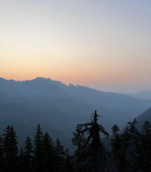 Rainn Wilson Instagram - I got to go into the woods of the great Pacific Northwest before the summer officially ended. These are a few of the things I saw. I need my batteries recharged in the Cascades every summer. Where is your soul-stirring place?