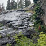 Rainn Wilson Instagram - I got to go into the woods of the great Pacific Northwest before the summer officially ended. These are a few of the things I saw. I need my batteries recharged in the Cascades every summer. Where is your soul-stirring place?