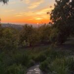 Rainn Wilson Instagram - It’s that time of year. The Baha’i Fast. It’s a beautiful and challenging time of year. 19 days of not eating and drinking during the daylight hours (work, travel and health exceptions allowed.) Morning meditation and prayer. Contemplation throughout the day with just a hint of modesty. I include these videos of the magnificent sunset over Oxnard, California - because, as the all-glorious metaphor known as the SUN slides below the horizon, a delightful, decidedly UNmetaphorical feast awaits! This spiritual enterprise DEMANDS one pay attention to the movement of the sun in the sky, as well as the movement of one’s heart. “Fasting is the cause of the awakening of man. The heart becomes tender. The spirituality of man increases.” - Abdul Baha