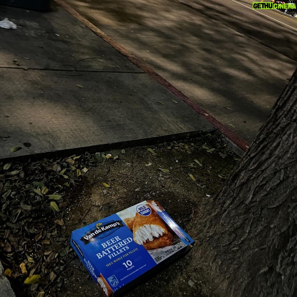 Rainn Wilson Instagram - If anyone lost or dropped their Van De Camp fish filets, they’re near the corner of Ventura Boulevard and Kester Ave by the big tree.