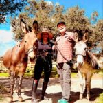 Rainn Wilson Instagram – Got to spend the day with the farm fam on a glorious sunny winter SoCal day! Derek the Zonkey (wild weirdo), Chili Beans the (rescue) Donkey (sweeeetest creature on the planet) and of course my heart-mate & zonkey whisperer @HolidayReinhorn. 

[@Fox_Canyon_Farm, @KimKulesaDressage]