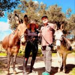 Rainn Wilson Instagram - Got to spend the day with the farm fam on a glorious sunny winter SoCal day! Derek the Zonkey (wild weirdo), Chili Beans the (rescue) Donkey (sweeeetest creature on the planet) and of course my heart-mate & zonkey whisperer @HolidayReinhorn. [@Fox_Canyon_Farm, @KimKulesaDressage]