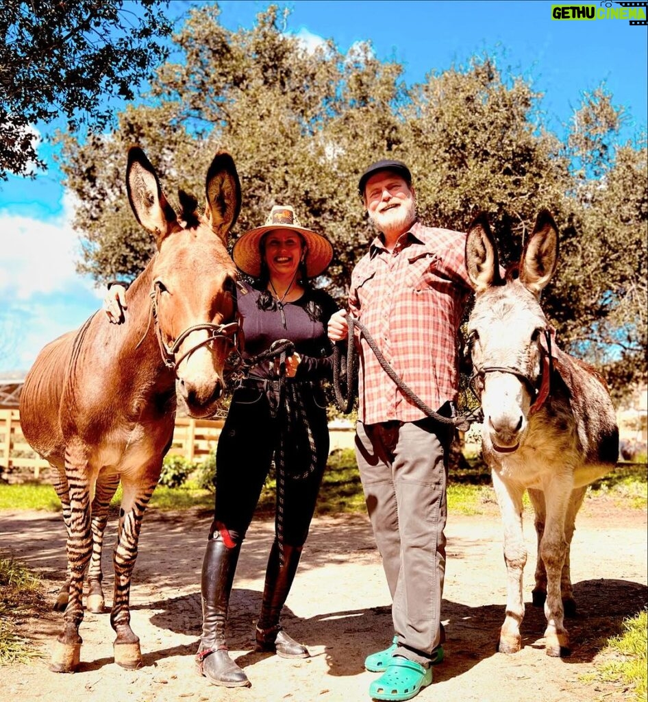 Rainn Wilson Instagram - Got to spend the day with the farm fam on a glorious sunny winter SoCal day! Derek the Zonkey (wild weirdo), Chili Beans the (rescue) Donkey (sweeeetest creature on the planet) and of course my heart-mate & zonkey whisperer @HolidayReinhorn. [@Fox_Canyon_Farm, @KimKulesaDressage]
