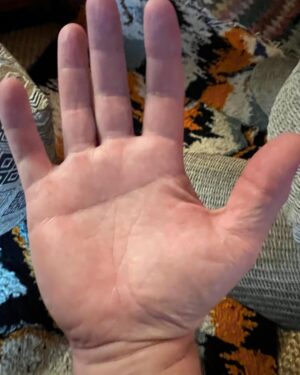 Rainn Wilson Instagram - Can someone read my palms?