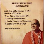 Rainn Wilson Instagram - I got to visit the ashram of the famous yogi sIvinanda recently. He started a beautiful ashram called the divine life society. He devoted his whole life and teachings to service to others. He was a doctor and found a hospital near his home in Rishikesh India. Beautiful sayings of his were all over the walls. Which is your favorite? Which resonated for you? Would love to hear your thoughts!