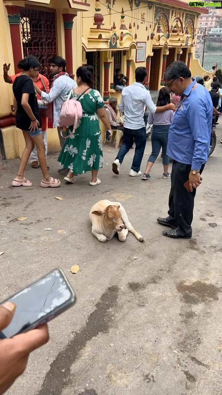 Rainn Wilson Instagram - #RishikeshSacredCows