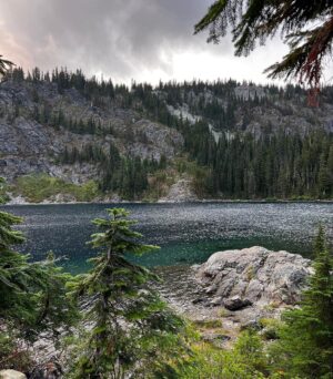 Rainn Wilson Instagram - I got to go into the woods of the great Pacific Northwest before the summer officially ended. These are a few of the things I saw. I need my batteries recharged in the Cascades every summer. Where is your soul-stirring place?
