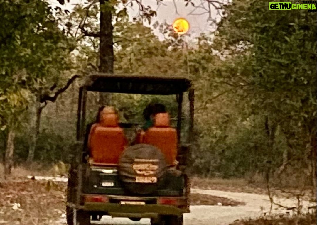 Raveena Tandon Instagram - A trip with the girls ♥️ … my babies , some tigers and a full moon . Can’t get better than this ….