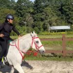 Remy Ishak Instagram – Aku simpan sini Sheikh. Hang dah janji nak bagi NX RAS DARWIN kat aku kan? jangan sampai aku post video perjanjian kita tadi kikihkih! 😈 @sjnanostix Ar-RAUDHAH Equine Centre