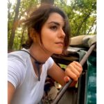 Riddhi Dogra Instagram – “To lose hope is to lose the light of life. Faith is what ignites hope in one’s heart and causes joy to burn brightly.” – Daisaku Ikeda Jim Corbett National Park