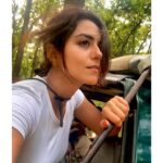 Riddhi Dogra Instagram - “To lose hope is to lose the light of life. Faith is what ignites hope in one’s heart and causes joy to burn brightly.” - Daisaku Ikeda Jim Corbett National Park