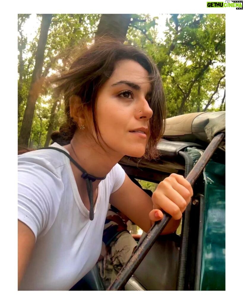 Riddhi Dogra Instagram - “To lose hope is to lose the light of life. Faith is what ignites hope in one’s heart and causes joy to burn brightly.” - Daisaku Ikeda Jim Corbett National Park