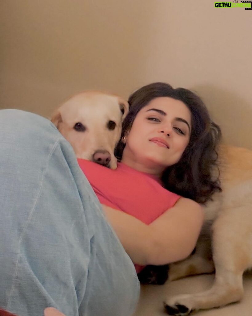 Riddhi Dogra Instagram - Love of animals is like A lottery win. It’s like a pageant win. It’s like the Oscar. And how pleased I am with myself here😂 …..It’s basically God’s approval of you. And I feel I meet my Eve in all the Cutiesss Labrador 🐾❤️🥰They’re just the best. 🐶🫶 @bijli420 @tanusridgupta @jaya_misra 📸 @ektarkapoor