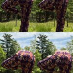 Rosario Dawson Instagram - 4 Fun In The Sun 4