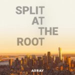 Rosario Dawson Instagram - This is about #bravery. This is about #courage. This is about #resilience. This is about #community. This is about #humanity. Watch Split at the Root on @netflix tomorrow, March 3rd. @lindagk1 @arraynow @splitattherootfilm