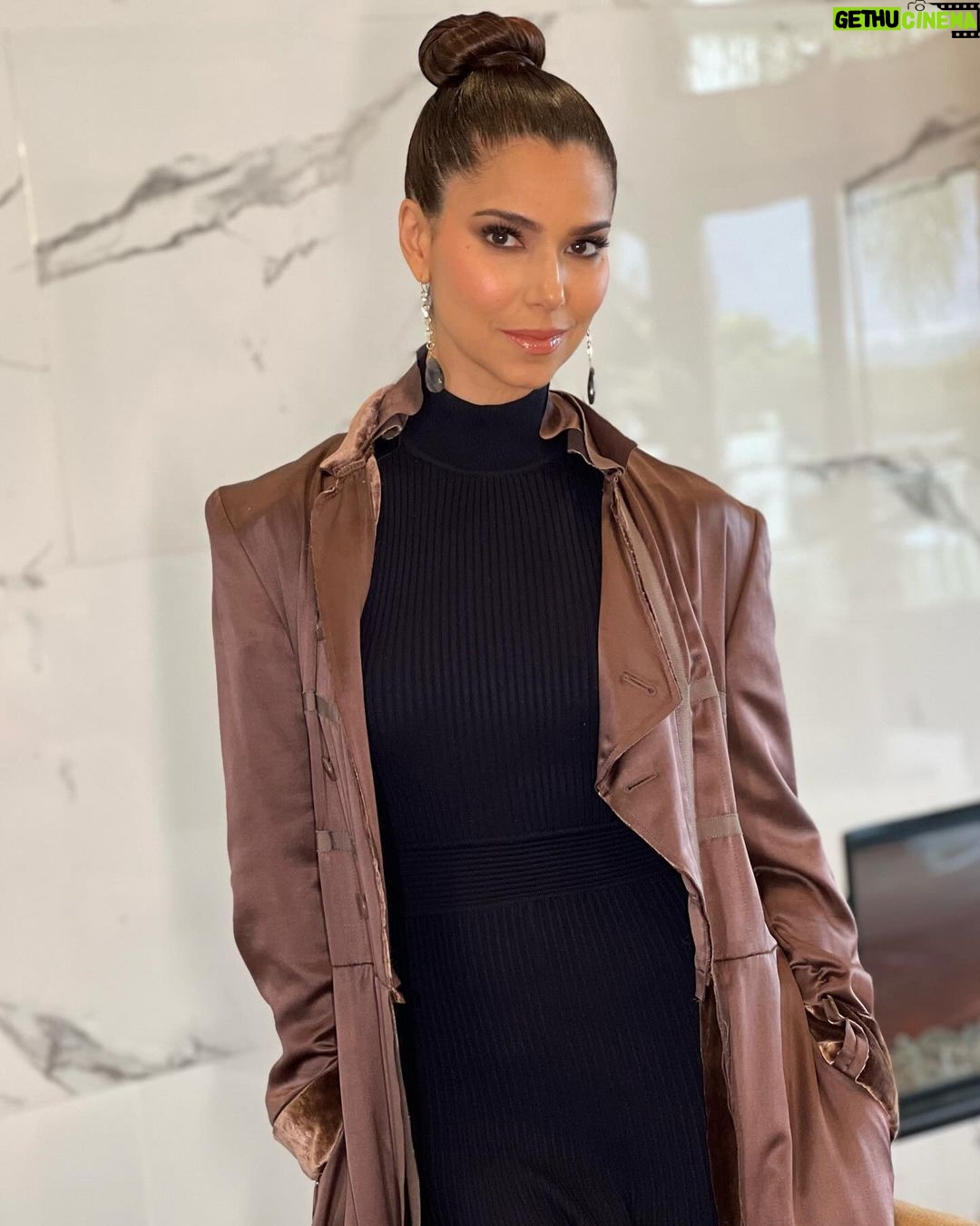 Roselyn Sánchez Instagram - Seguimos… Con pie firme, empoderada. In the good times and not so good times. Siempre feliz y agradecida…. Thanks @paulanthonylove for this beautiful glam to attend the @latinasactingup event!