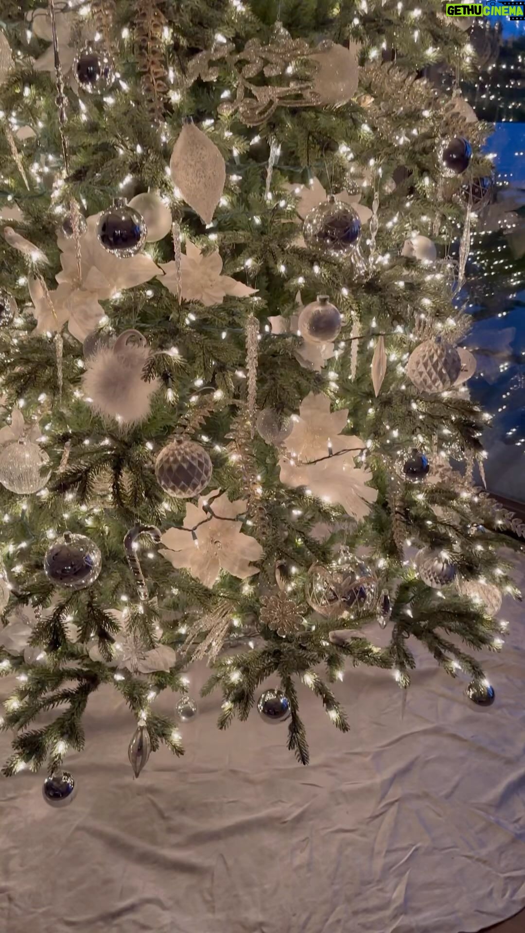 Roselyn Sánchez Instagram - Feliz Navidad adelantadas 🌲💫💕 Happy Holidays everybody!! I know it’s early but it feels good!
