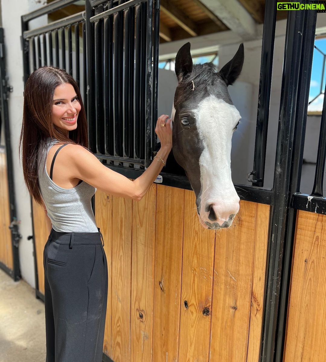 Roselyn Sánchez Instagram - Magical… 💫 One of the most beautiful and special places I have ever been. Agradecida a Dios por haberme dado la oportunidad de visitar esta Hacienda en mi tierra natal #puertorico🇵🇷 Gracias Lisa y Pablo 💕. Que lindo este hogar. #moresoon #lesvoycontando #tierrasagrada #animallovers #lajas