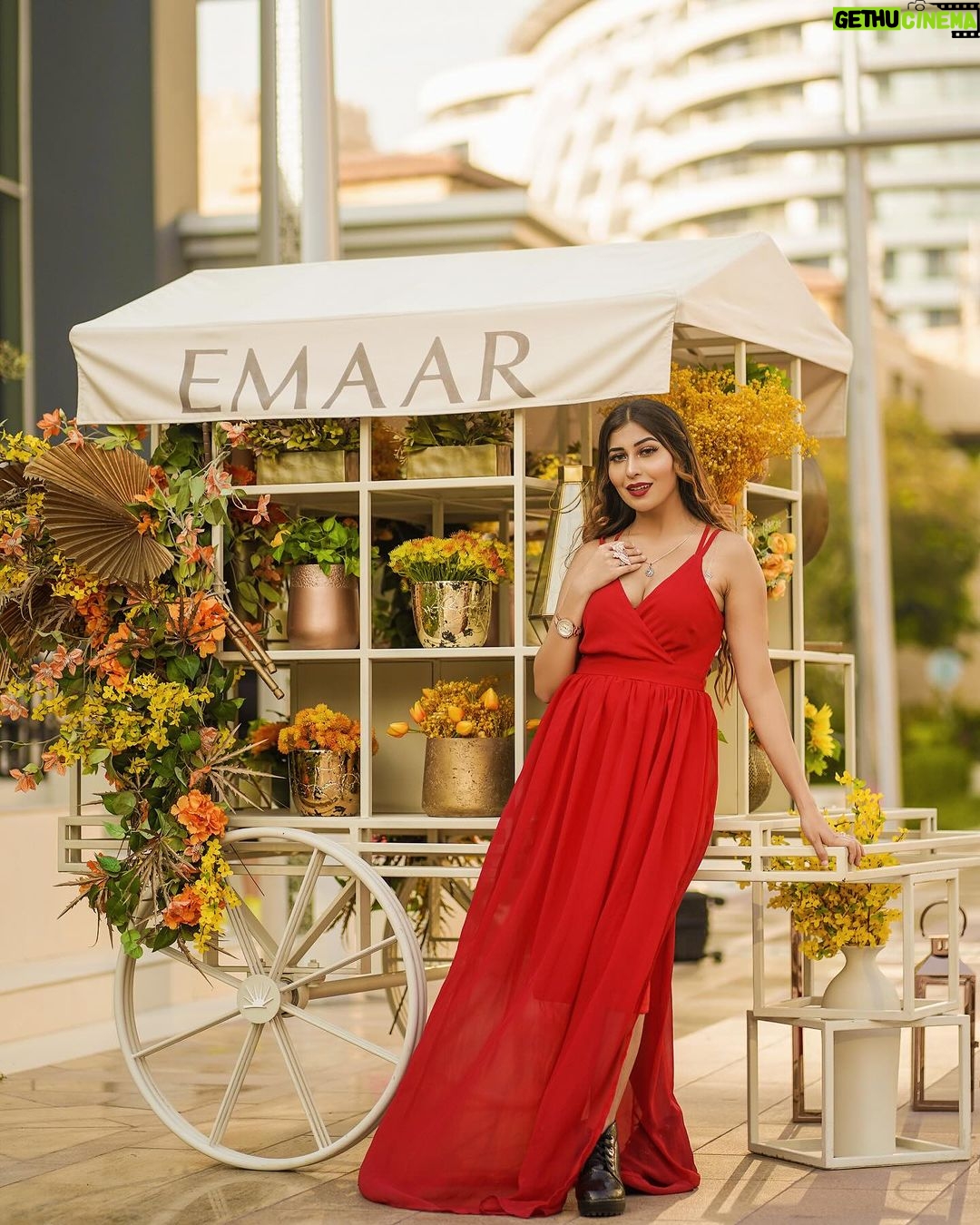 Ruma Sharma Instagram - Finding paradise wherever I go 🦋 . . Edit by - @wasey_rock69 . #rumasharma #traveltheworldwithme #travelphotographyoftheday #dubaitravelblogger #dubaiblogger #dubaidiaries❤️ Dubai, United Arab Emirates