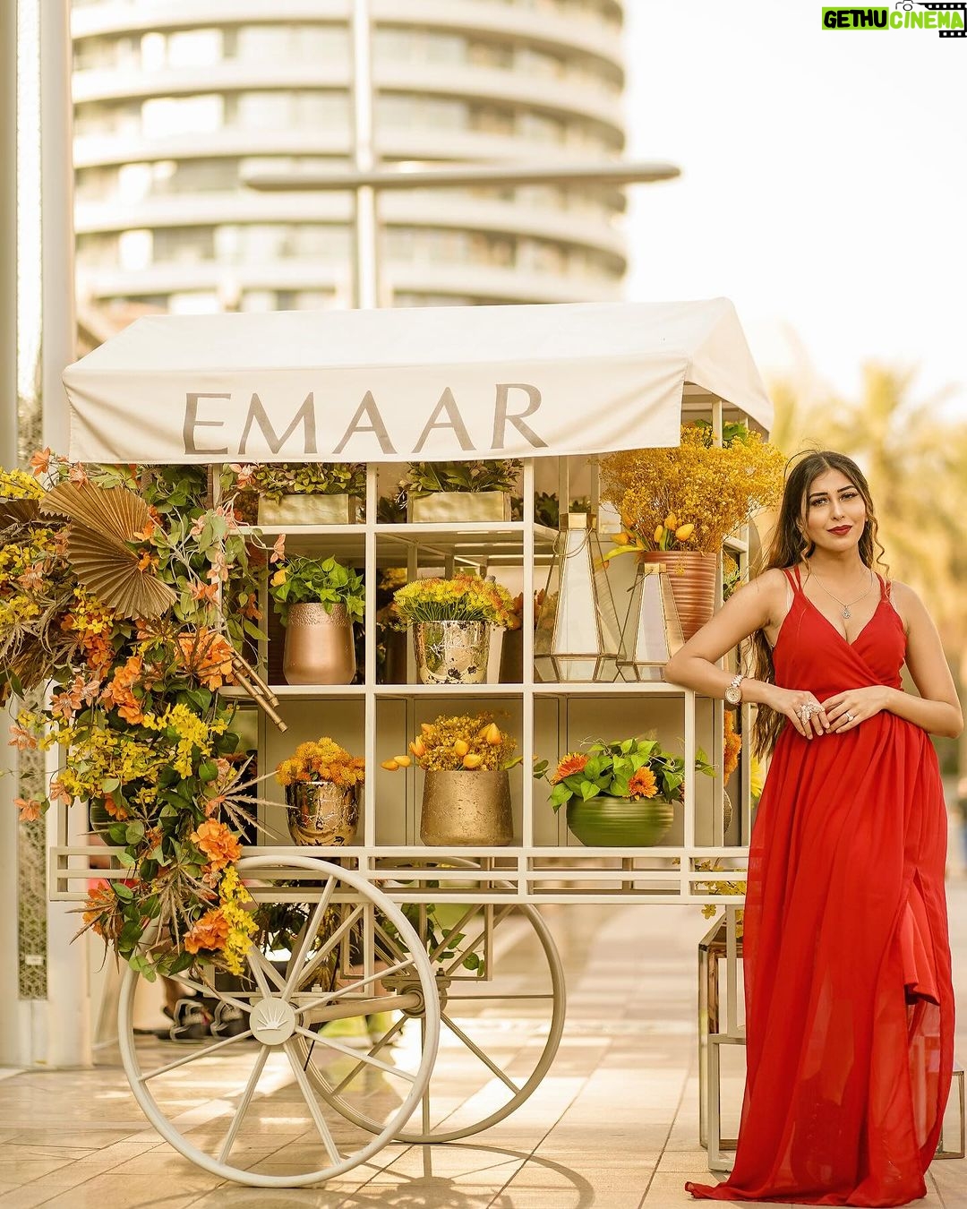 Ruma Sharma Instagram - Finding paradise wherever I go 🦋 . . Edit by - @wasey_rock69 . #rumasharma #traveltheworldwithme #travelphotographyoftheday #dubaitravelblogger #dubaiblogger #dubaidiaries❤️ Dubai, United Arab Emirates