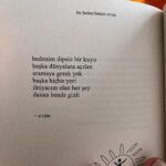 Sıla Türkoğlu Instagram - Pazar dumpı🐰💘