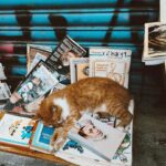 Sıla Türkoğlu Instagram - Çok güzelsin! ❤️ Beyoglu