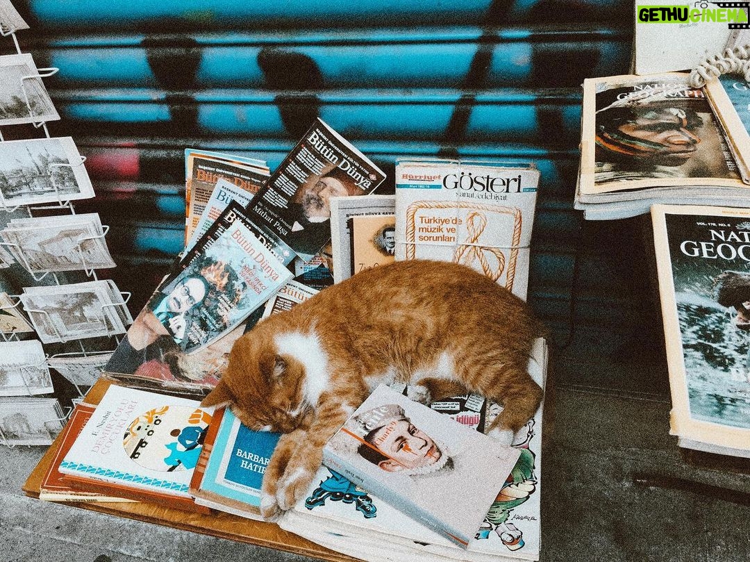 Sıla Türkoğlu Instagram - Çok güzelsin! ❤️ Beyoglu