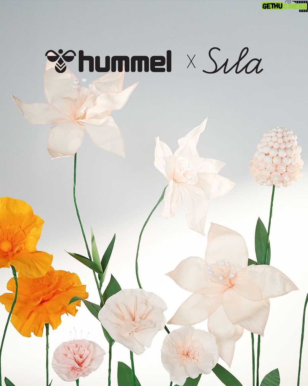 Sıla Türkoğlu Instagram - 🐝 #hummelxSıla #LetsPlay