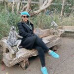 Sahar Moghadass Instagram - سلامممم 📢 احوالتون چطورهههه ؟ … ❤️ London Zoo