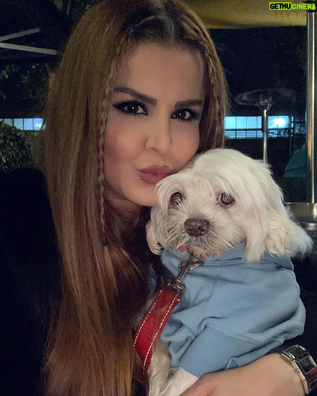 Sahar Moghadass Instagram - قشنگترينى جوجه كوچولوى من 💗 ممنونم كه هر جورى باشم بازم خالصانه دوستم دارى و رفيقِ همه ى لحظه هامى 🙏🏻 تو خالص ترين عشقى ❤️🔥 . . @agha_tootoo 🐶 #sahar #saharmusic #mrtootoo #aghatoto #love #God #❤️ Little Venice, London