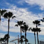 Sanjana Sanghi Instagram - The Californian skies can fix many things, nervousness about new adventures for one 🤍☀️ #LosAngeles #California Beverly Hills, Los Angeles