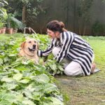 Sanjana Sanghi Instagram - It’s #InternationalDogDay : I hear? 🥺🐶 I miss my cuties so much, every single second. Plan is to somehow convince my parents to let me bring at least one of our 4 from Delhi to my home in Mumbai. All ideas in making this pitch successful are welcome🙋🏻‍♀️😉