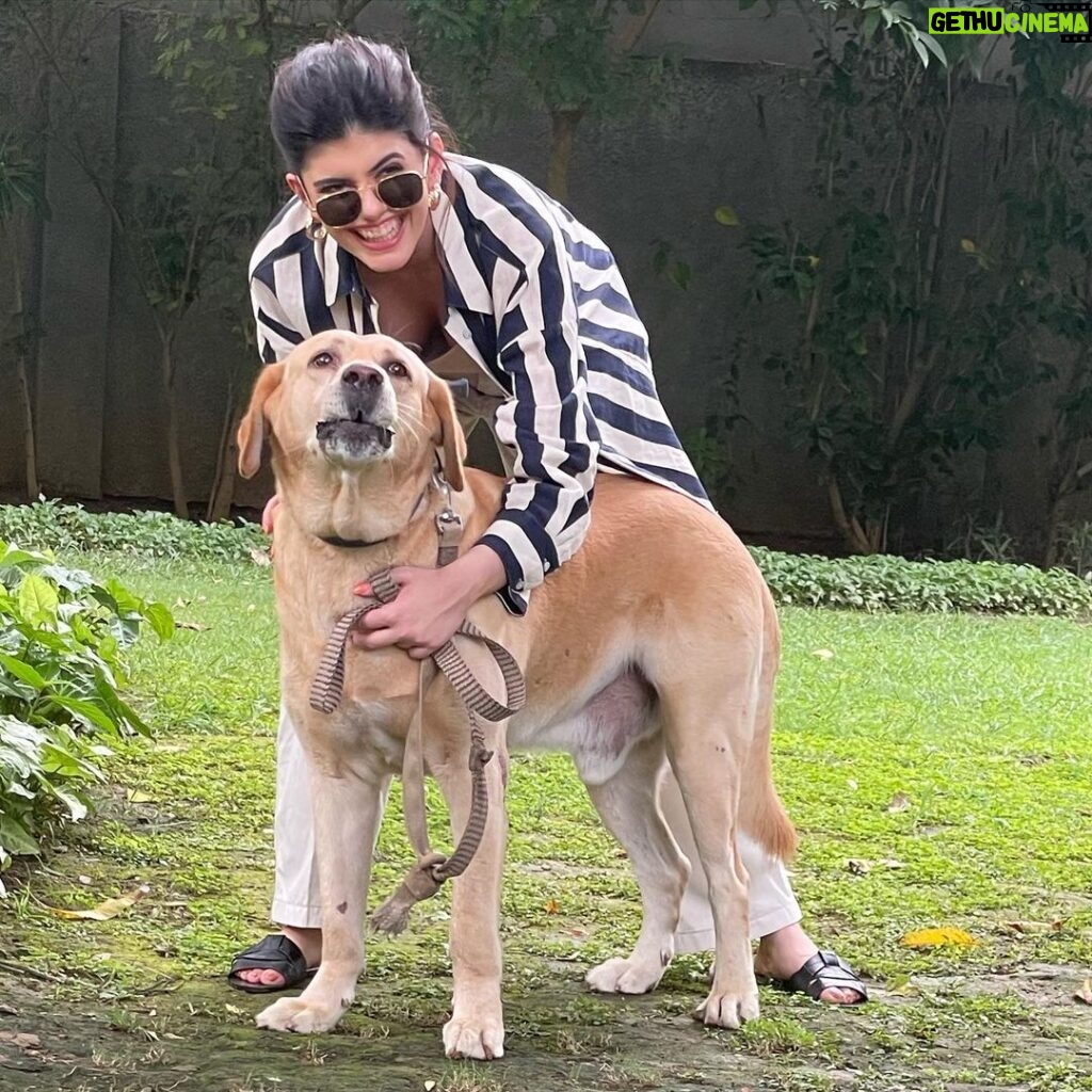 Sanjana Sanghi Instagram - It’s #InternationalDogDay : I hear? 🥺🐶 I miss my cuties so much, every single second. Plan is to somehow convince my parents to let me bring at least one of our 4 from Delhi to my home in Mumbai. All ideas in making this pitch successful are welcome🙋🏻‍♀️😉