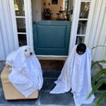 Sarah Rafferty Instagram - Happy Halloween. We tried…👻🕸🕷🤓 Los Angeles, California