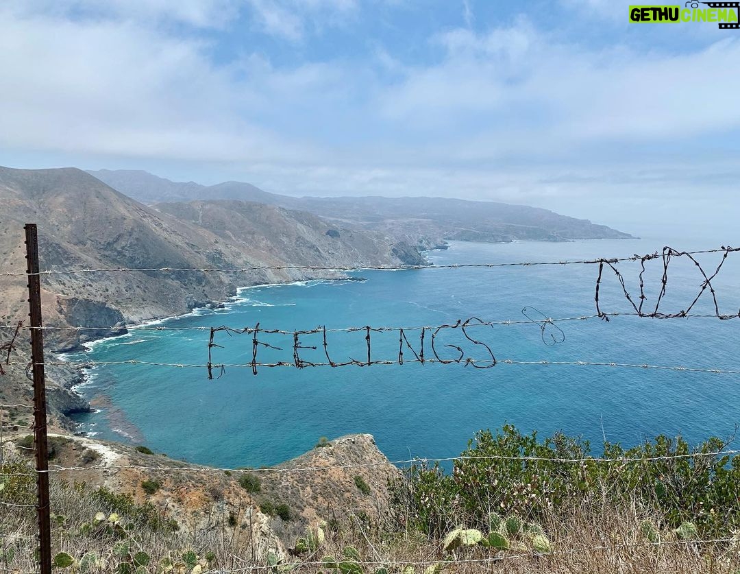 Sarah Rafferty Instagram - How are you feeling? California