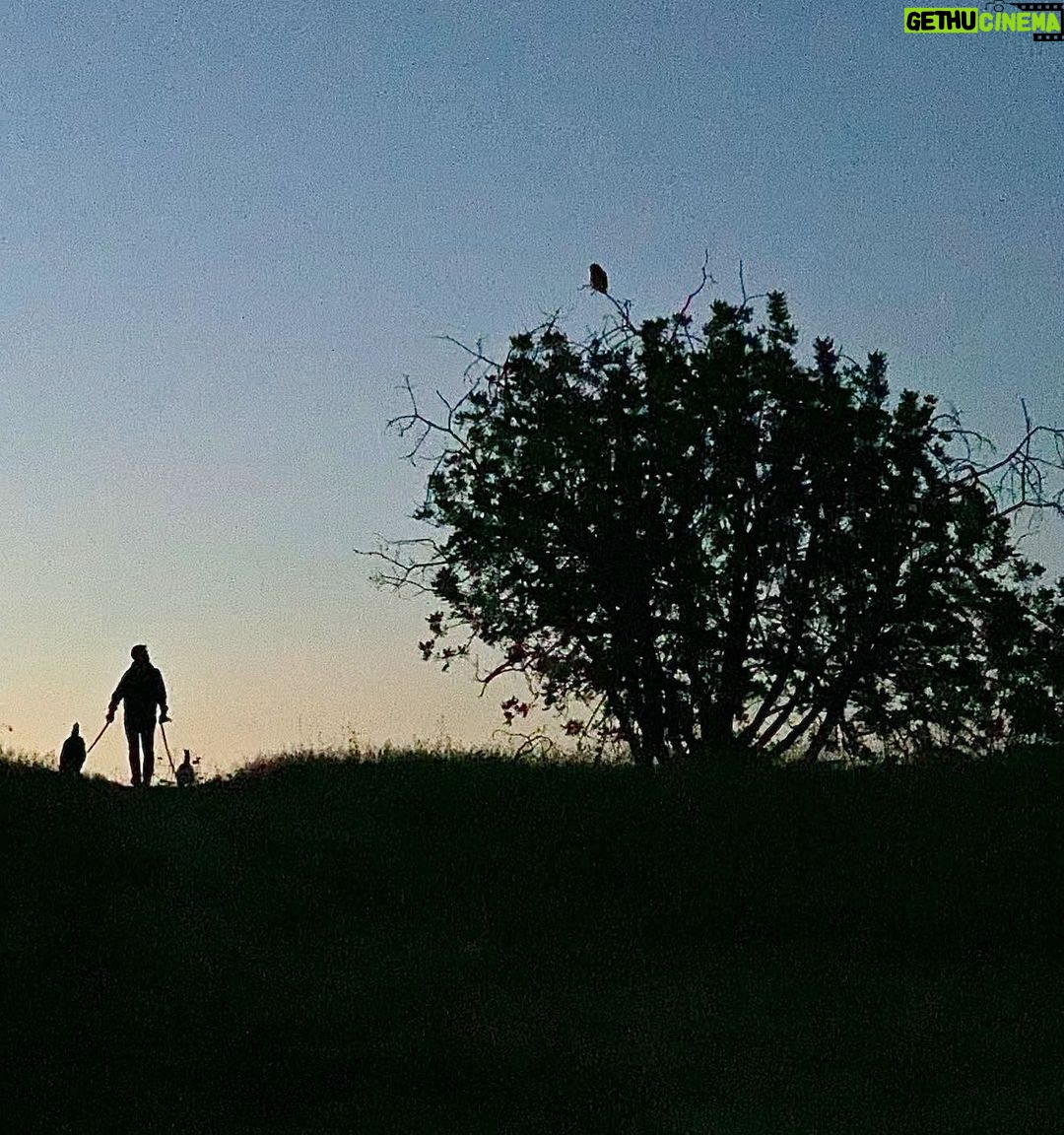 Sarah Rafferty Instagram – “To pay attention, this is our endless and