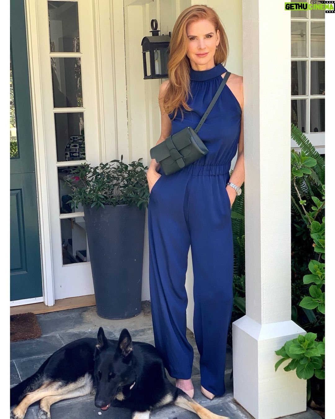 Sarah Rafferty - 177.4K Likes - Hi friends, this April, in honor of earth month, I am excited to partner with my favorite handbag company @Senreve. Please tune in tomorrow at 10 am Pacific time for an IG Live with my friend and Senreve founder, Coral Chung. We are going to talk about her journey launching a luxury brand, female entrepreneurship, and Senreve’s efforts in sustainability, including the launch of their Handbag Revival event. Please leave any questions you’d like me to ask @coralllista below. I hope you can join us. 😘 📷cred @dklahair #ad