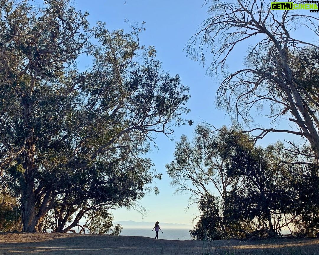 Sarah Rafferty Instagram – Never too early to give thanks. ️ u CL