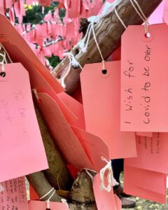 Sarah Rafferty Instagram - Safely visited the wishing tree at Descanso Gardens today. And I cried, (like you told me too @michaelmedicola) and just like I did when I visited Shrines and Temples in Japan and read the prayers handwritten and hung up on small wooden plaques (with @mauracraig1). At the time I thought it might be the jet lag. Today I know it’s the reminder that we are all so much more alike than we are different. My little one will get her wish, but over zoom this year. And we will hold out hope for next Christmas. Meantime I join the prayers I read today (swipe). May everyone have a home; I wish Marie and everyone like her peace in their time of such grief; may your life be happy and healthy and may LOVE ALWAYS FIND YOU; to Jackson’s Aunt, I pray your “darling nephew”will be cured of cancer; may the states be truly united in love; may Covid be over; and above all may there be MORE MAGIC.