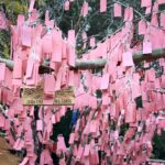 Sarah Rafferty Instagram - Safely visited the wishing tree at Descanso Gardens today. And I cried, (like you told me too @michaelmedicola) and just like I did when I visited Shrines and Temples in Japan and read the prayers handwritten and hung up on small wooden plaques (with @mauracraig1). At the time I thought it might be the jet lag. Today I know it’s the reminder that we are all so much more alike than we are different. My little one will get her wish, but over zoom this year. And we will hold out hope for next Christmas. Meantime I join the prayers I read today (swipe). May everyone have a home; I wish Marie and everyone like her peace in their time of such grief; may your life be happy and healthy and may LOVE ALWAYS FIND YOU; to Jackson’s Aunt, I pray your “darling nephew”will be cured of cancer; may the states be truly united in love; may Covid be over; and above all may there be MORE MAGIC.