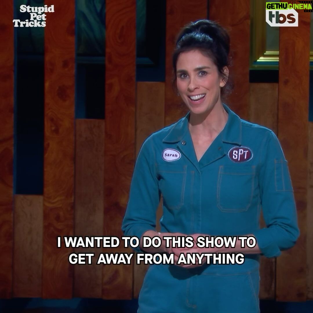 Sarah Silverman Instagram - I can’t escape politics… Cat V Dogs. #StupidPetTricks Monday on @tbsnetwork