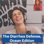 Sarah Silverman Instagram - Did you know sperm whales not only have the largest brain of any creature on Earth, but their defense mechanism is explosive diarrhea? The things you learn by listening to The Sarah Silverman Podcast…Listen to the latest episode wherever you listen to podcasts. #defensemechanisms #orcas #spermwhale #podcastrecommendations